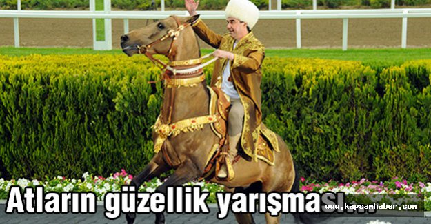 Atların güzellik yarışması...