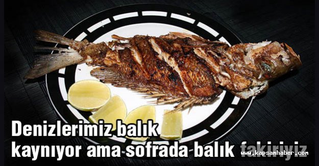 Denizlerimiz balık kaynıyor ama sofrada balık fakiriyiz