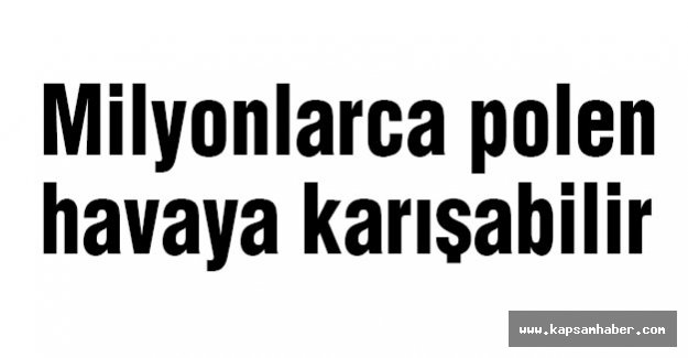 Milyonlarca polen havaya karışabilir