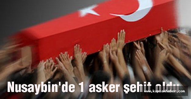 Nusaybin'de 1 asker şehit oldu