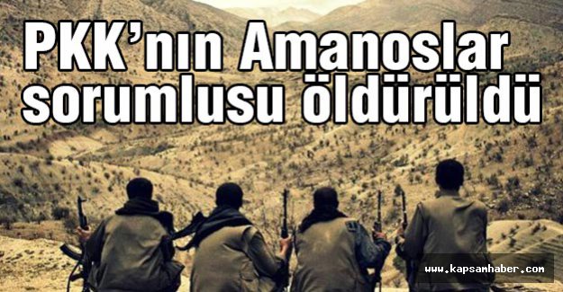PKK’nın sorumlusu öldürüldü