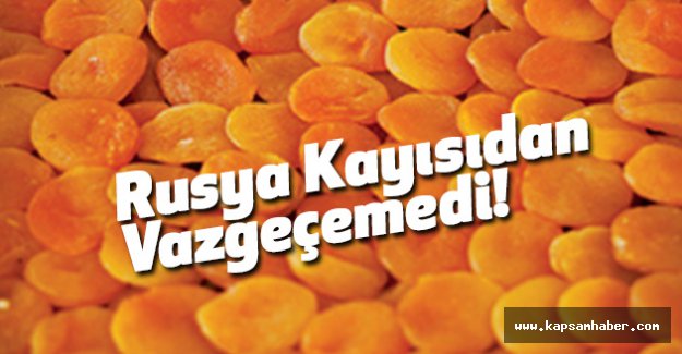 Rusya kayısıdan vazgeçemedi