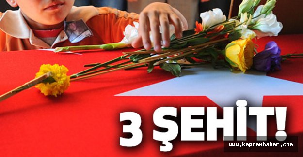 Tunceli'de 3 Şehit!