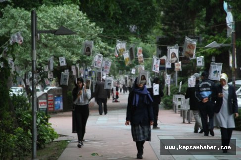 Kocaeli'de ağaçlar 'kitap' açtı