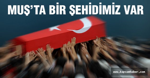 Muş’ta çatışma: 1 şehit