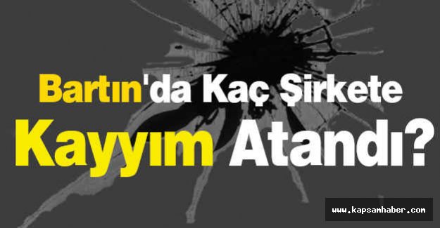 Bartın'da Kaç Şirkete Kayyım Atandı?