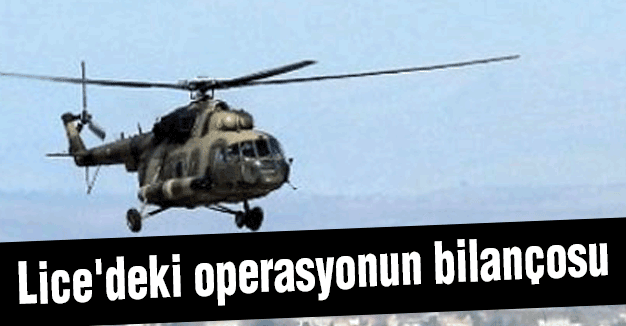 Lice'deki operasyonun bilançosu