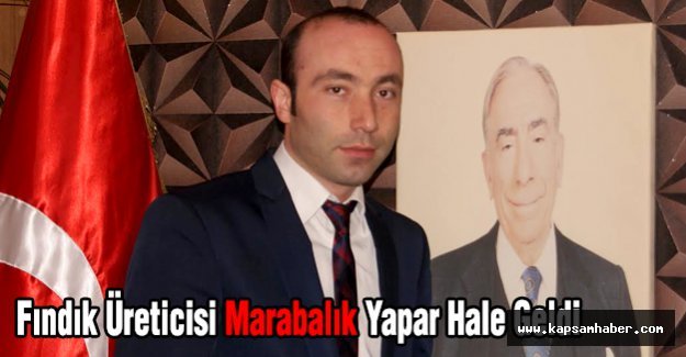 MHP'li Tekin; Fındık Üreticisi Marabalık Yapar Hale Geldi