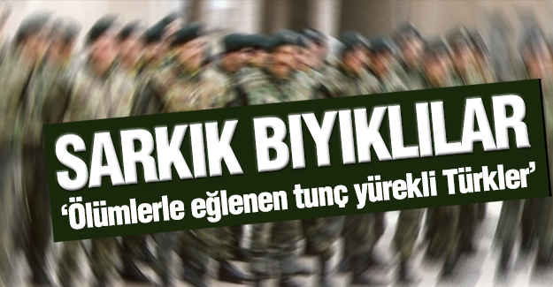 Sarkık Bıyıklılar