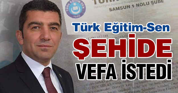 Türk Eğitim Sen, Şehide Vefa İstedi