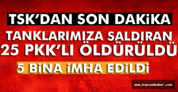 25 PKK-PYD üyesi Etkisiz Hale Getirildi