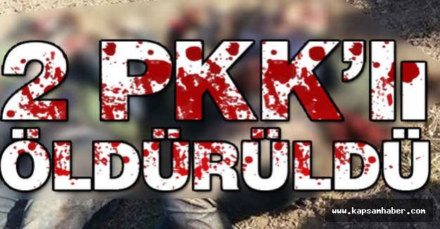 2 PKK'lı Öldürüldü