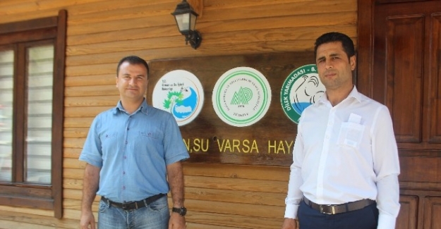Artık arıcılar da yöre halkı da rahat edecek