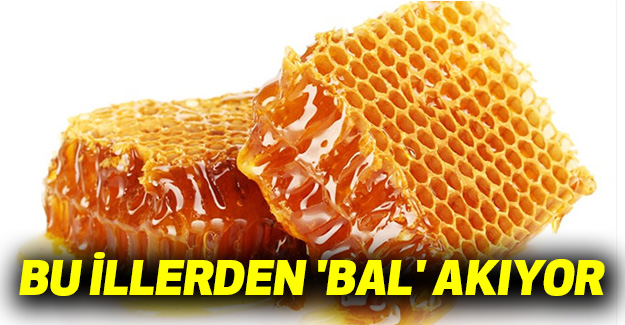 Bu İllerden 'Bal' Akıyor