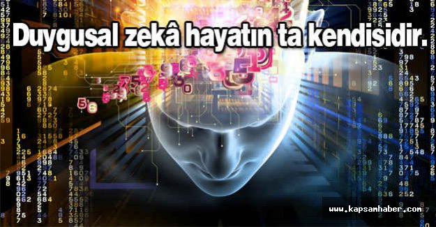 Çocuğunuzun IQ’su mu EQ’su mu Yüksek?