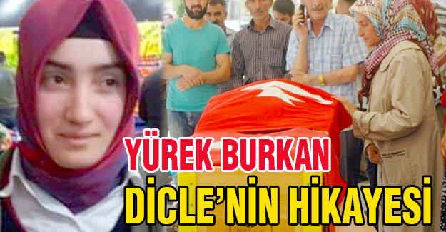 Dicle'nin Hikayesi...