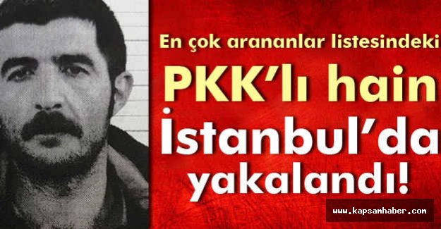 En çok aranan listesindeki terörist yakalandı