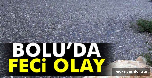 Gökçesu Deresi’nde Feci Olay!