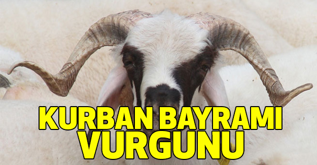 Hainlerin Kurban Bayramı Vurgunu