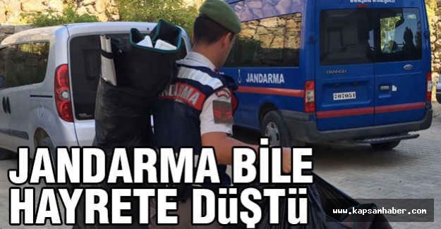 Jandarma Bile Hayrete Düştü