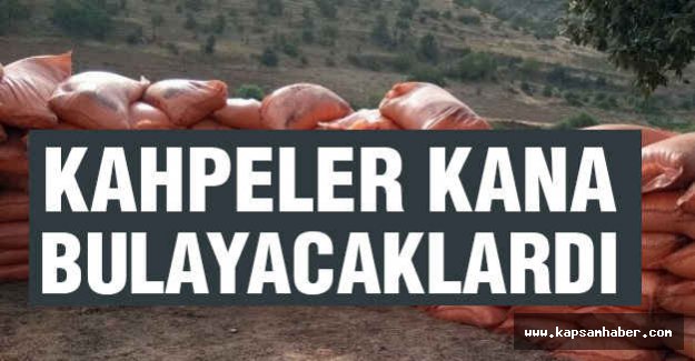 Kahpeler Kana Bulayacaklardı
