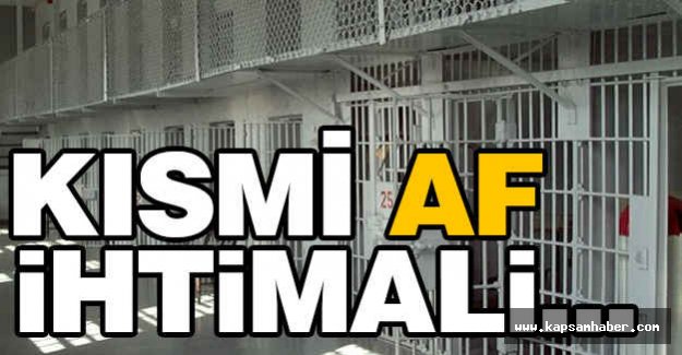 Kısmi Af İhtimali Üzerine
