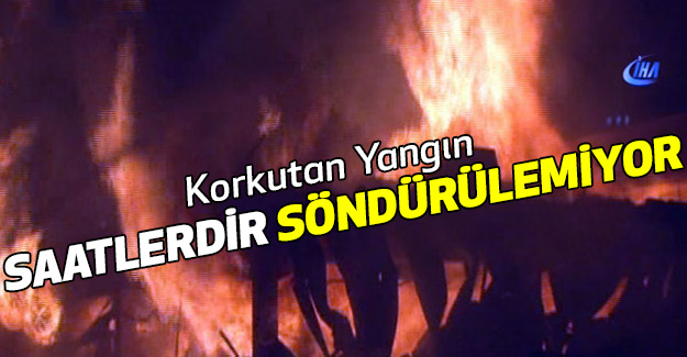 Korkutan Yangın Saatlerdir Söndürülemiyor