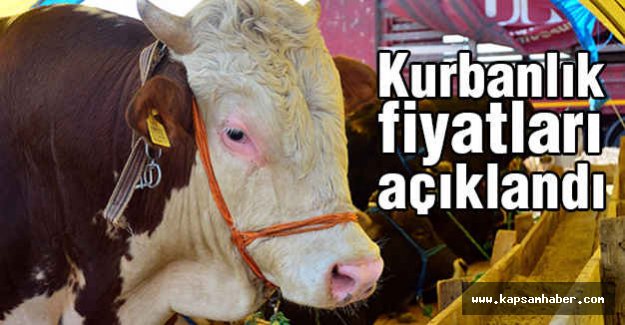 Kurban Fiyatları Açıklandı