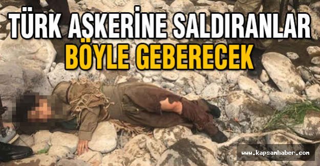 Türk Askerine Saldıranlar Böyle Geberecek