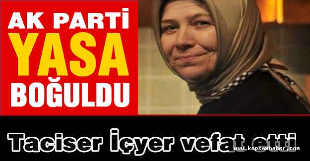 Ak Parti Yasa Boğuldu