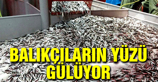 Balıkçıların Yüzü Gülüyor...