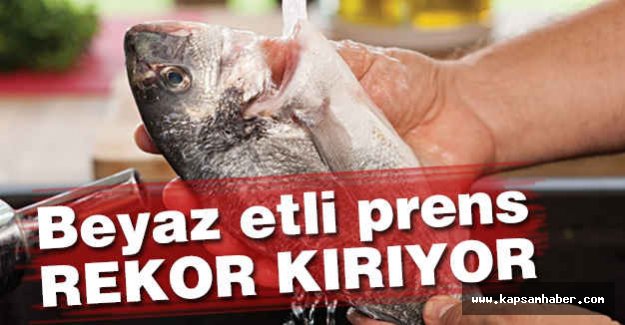 Beyaz Etli Prens Rekor Kırıyor