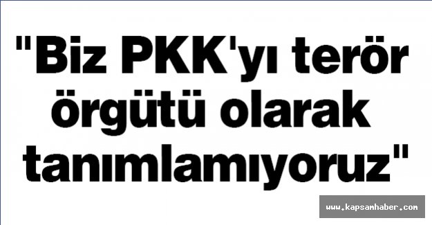"Biz PKK'yı terör örgütü olarak tanımlamıyoruz"