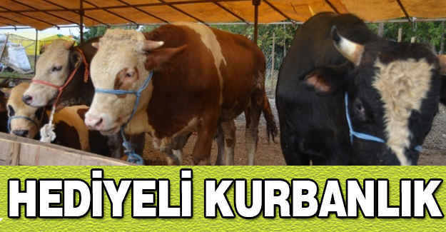 Karadeniz'de Hediyeli Kurbanlık Satışı