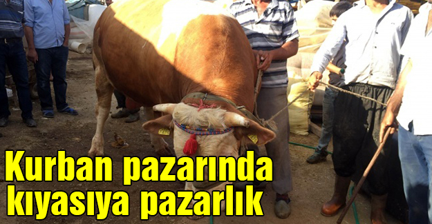 Kurban Pazarında Kıyasıya Pazarlık