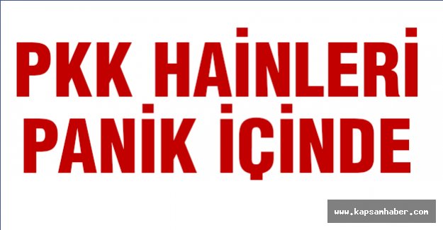PKK Panik İçinde