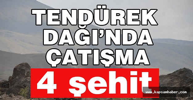 Tendürek'te 4 Şehit Daha