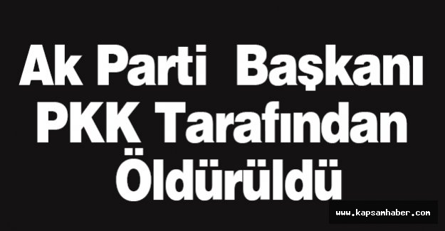 Ak Parti Başkanı PKK Tarafından Öldürüldü