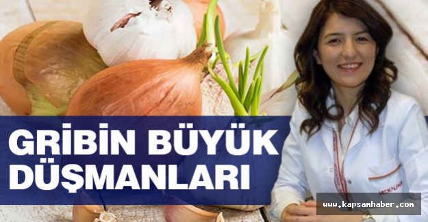 Gribin Büyük Düşmanları