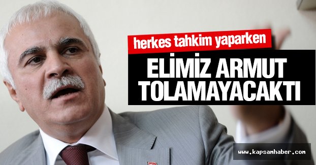 Koray Aydın; Elimiz Armut Toplamayacaktı...