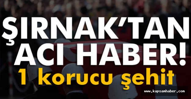 Köy Korucusu Şehit Oldu