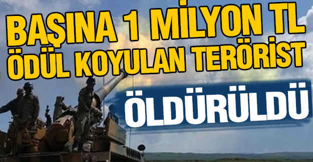 O Terörist Ölü Ele Geçirildi