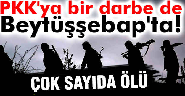 Şırnak’ta 11 PKK'lı öldürüldü