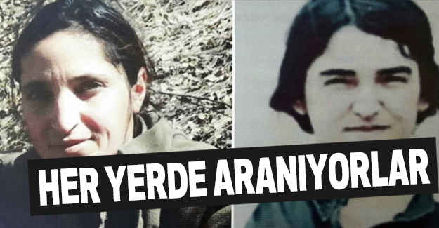 Bunlar Her Yerde Aranıyor!