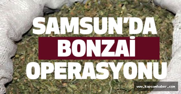 Samsun'da Bonzai Operasyonu