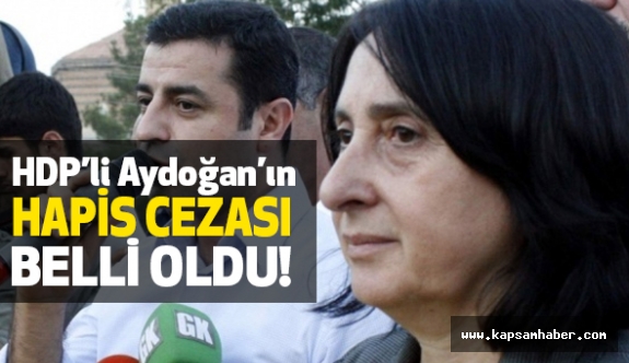 HDP'li Nursel Aydoğan'ın hapis cezası belli oldu