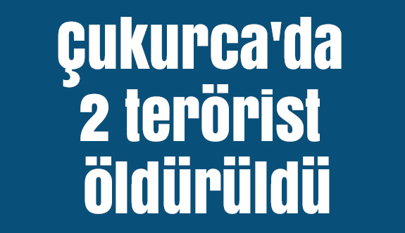 Çukurca'da 2 terörist öldürüldü
