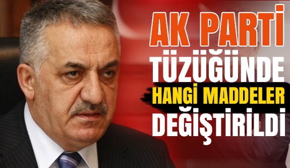 Ak Parti Tüzüğünde Hangi Maddeler Değişti