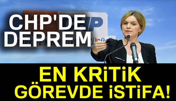 Böke, CHP'deki görevlerinden istifa etti