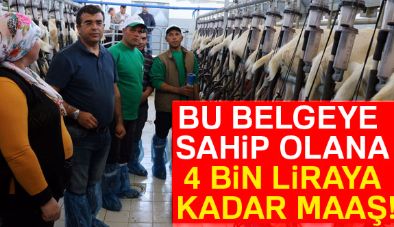 Bu belgeye sahip olana 4 bin lira maaş